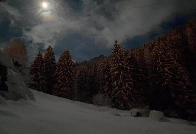 Bed And Breakfast Campo Base