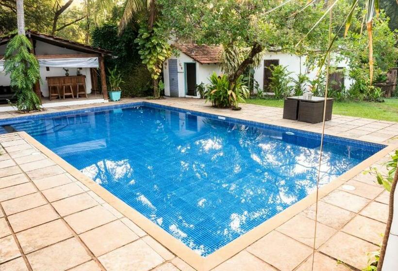 酒店 Island House Goa