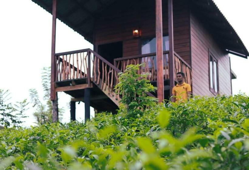 ホテル Misty Mountain  Sinharaja