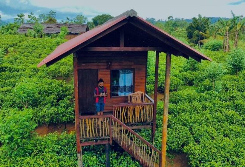 בית מלון כפרי Misty Mountain  Sinharaja