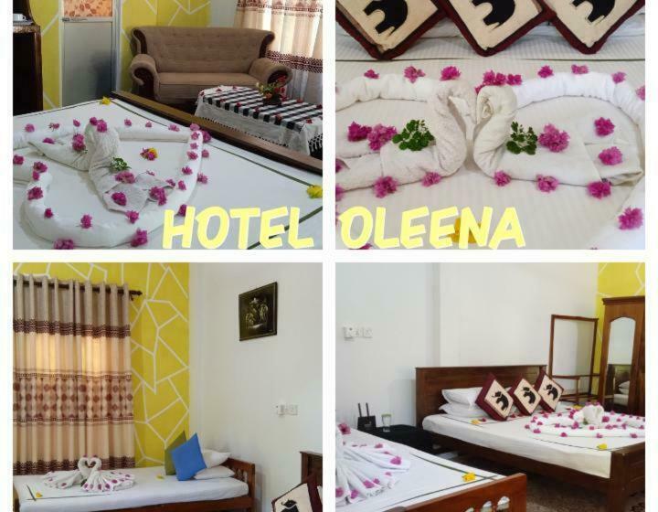 Отель Oleena Home Stay