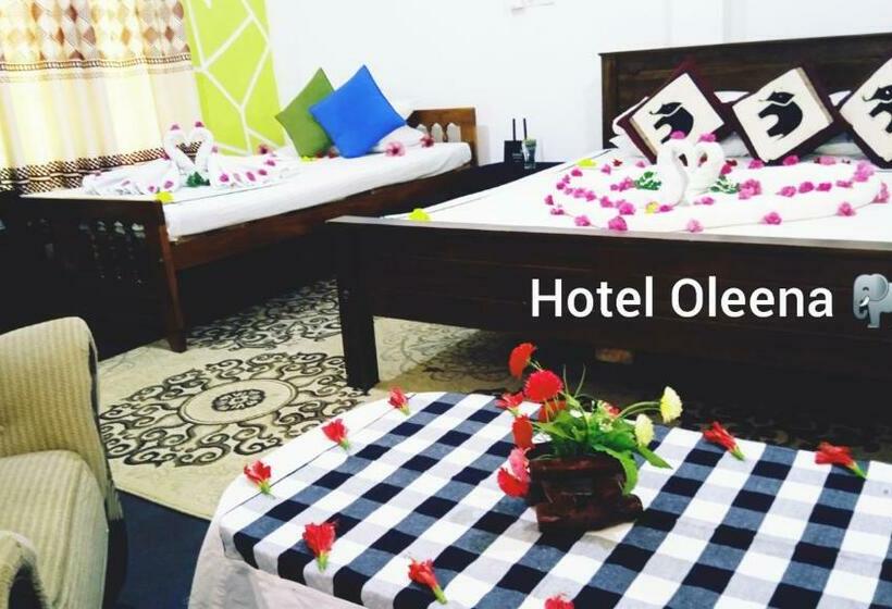 Отель Oleena Home Stay