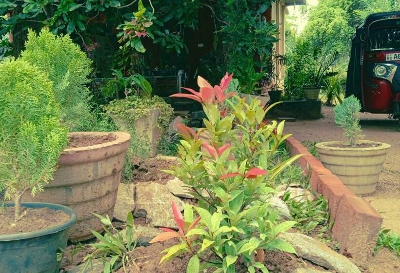 Отель Oleena Home Stay