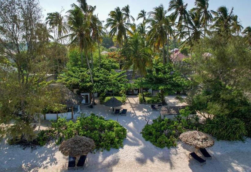 Отель Poa Poa Bungalows