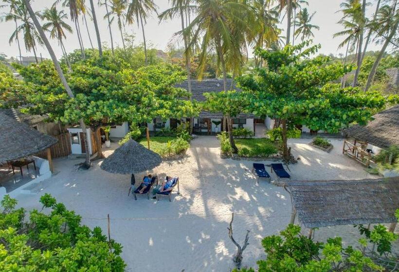 Отель Poa Poa Bungalows