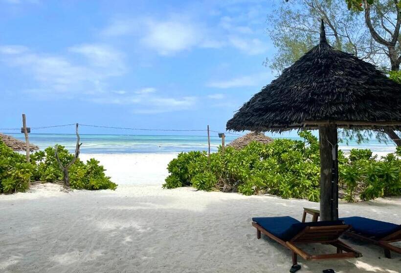 Отель Poa Poa Bungalows