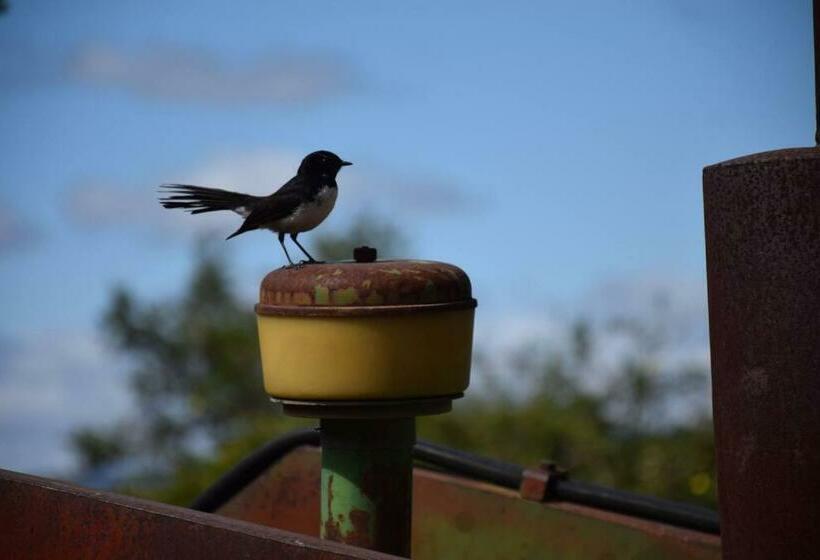 بنسيون Glenlyon Dam Holiday Cottage & Farmstay