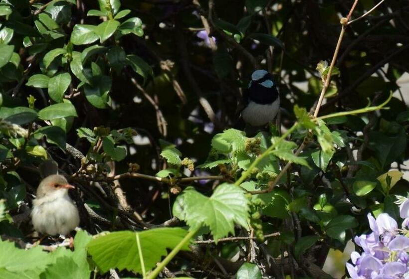 بنسيون Glenlyon Dam Holiday Cottage & Farmstay