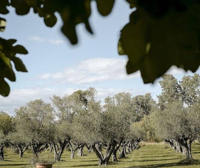 بنسيون Mas Des Precheurs