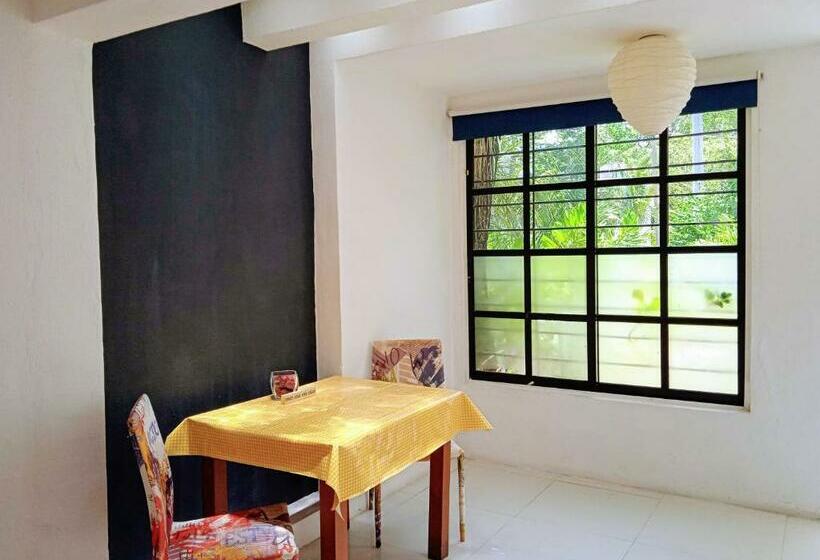 膳宿费 Room In Guest Room Studio 6 In Downtown Cancun