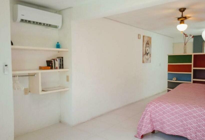 膳宿费 Room In Guest Room Studio 6 In Downtown Cancun