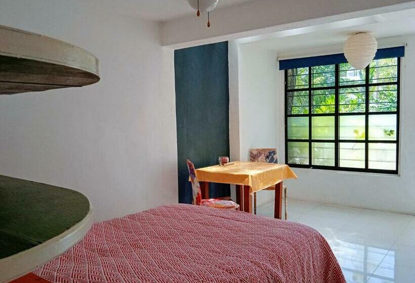 膳宿费 Room In Guest Room Studio 6 In Downtown Cancun