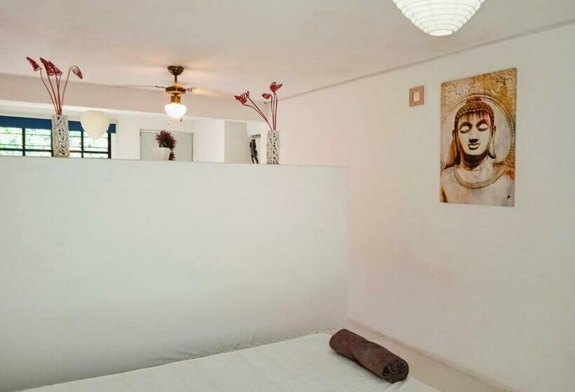 膳宿费 Room In Guest Room Studio 6 In Downtown Cancun