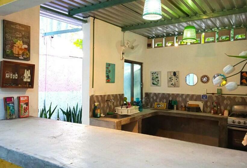 膳宿费 Room In Guest Room Studio 6 In Downtown Cancun