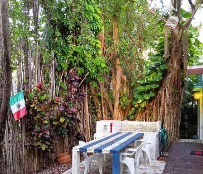 膳宿费 Room In Guest Room Studio 6 In Downtown Cancun