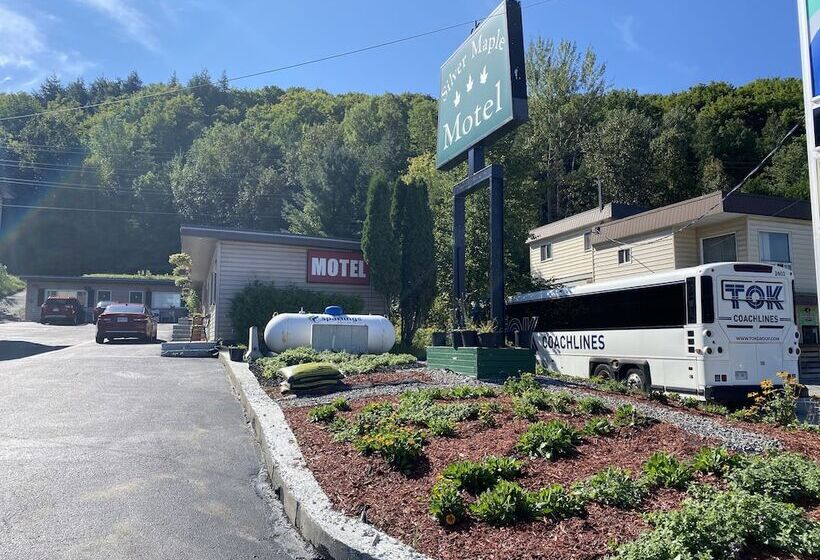 Silver Maple Motel