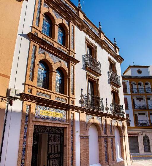 ユースホステル Posada Boutique El Gallo Morón