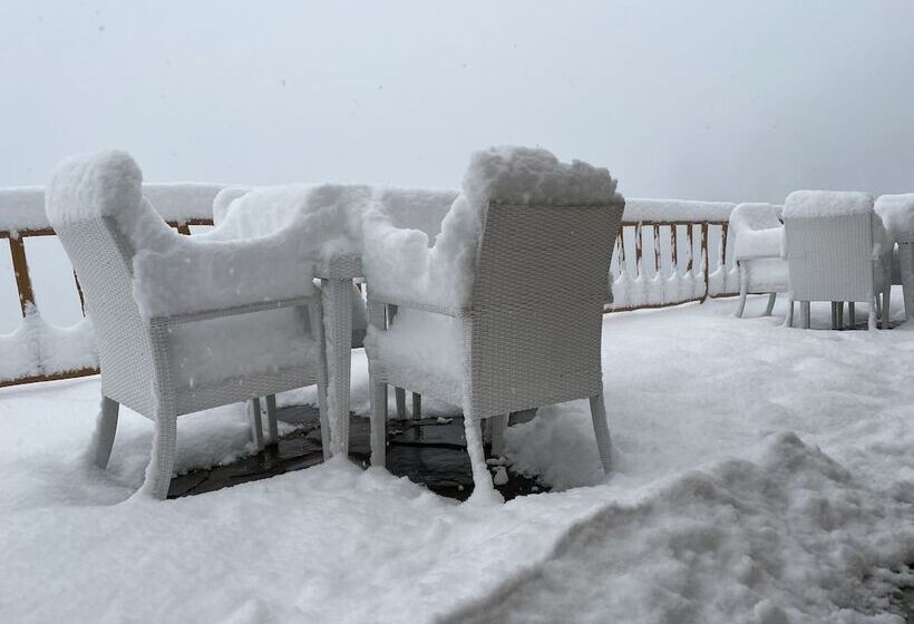 مبيت وإفطار Jomotel Talai