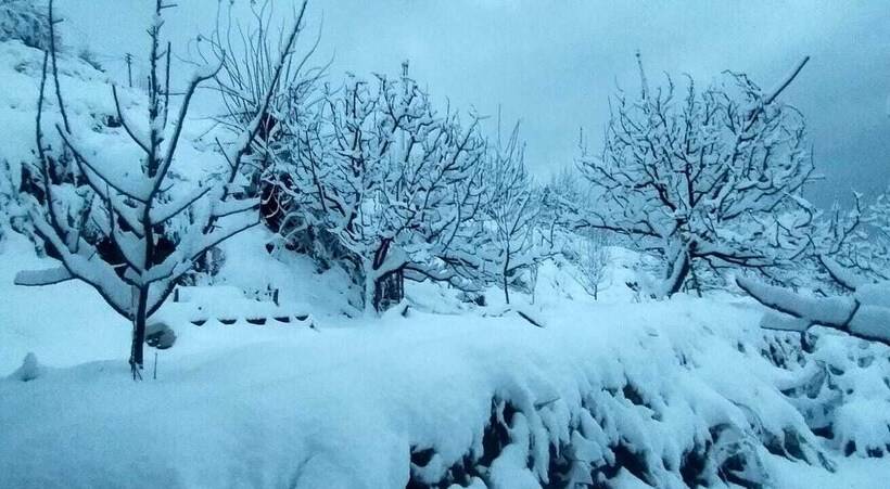 مبيت وإفطار Jomotel Talai