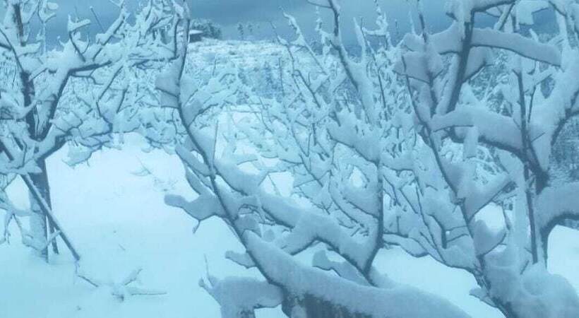 مبيت وإفطار Jomotel Talai