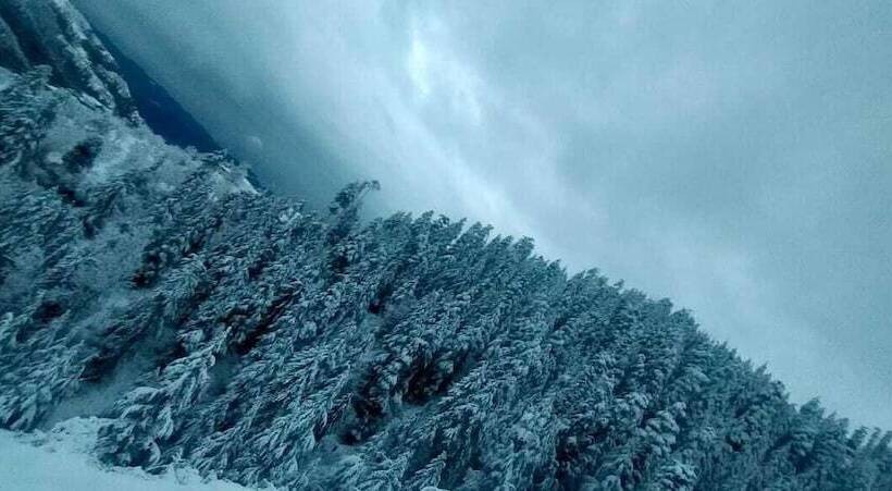 مبيت وإفطار Jomotel Talai