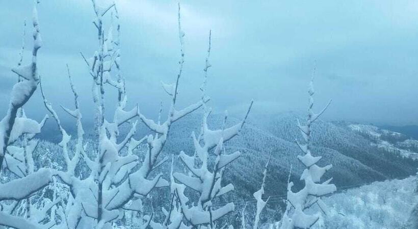 مبيت وإفطار Jomotel Talai