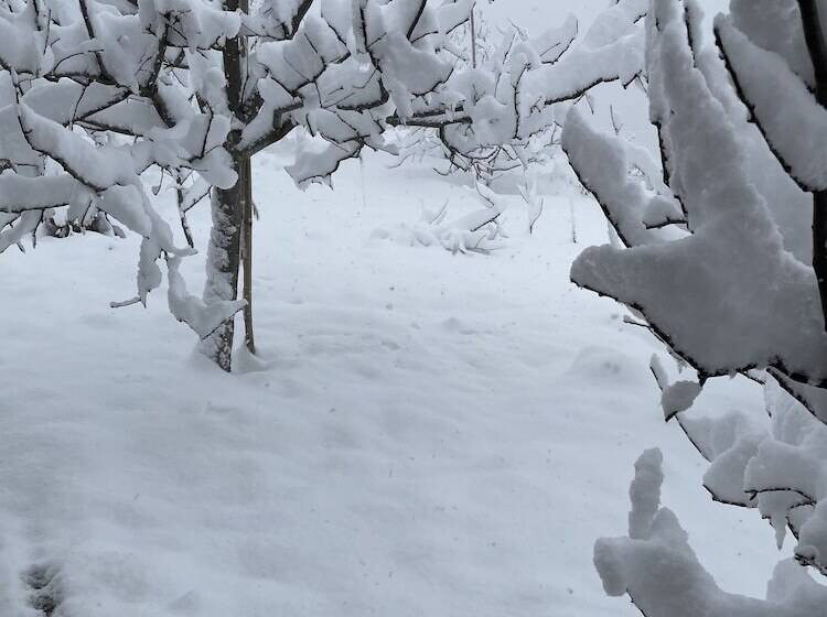 مبيت وإفطار Jomotel Talai