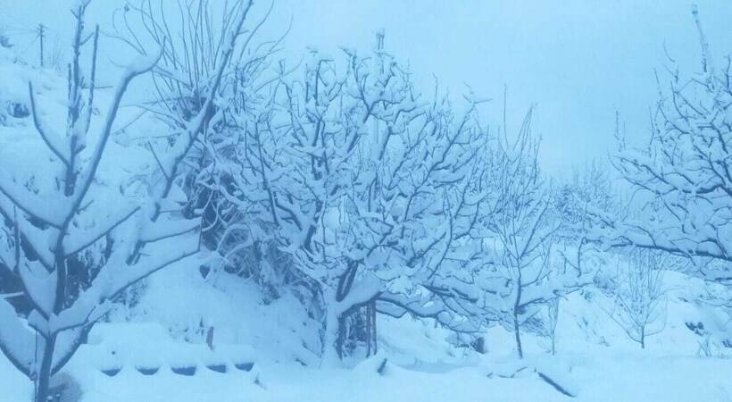 مبيت وإفطار Jomotel Talai