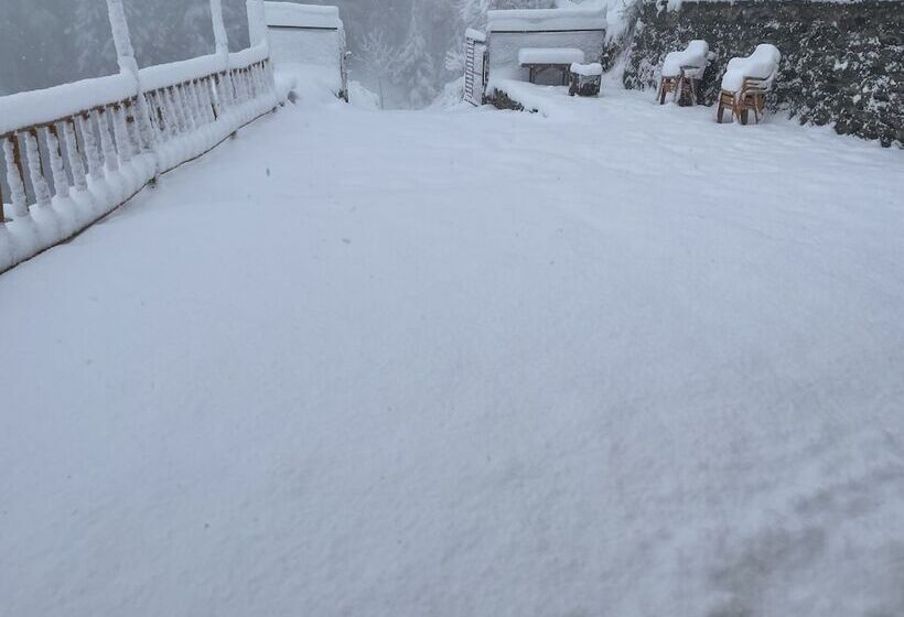 مبيت وإفطار Jomotel Talai