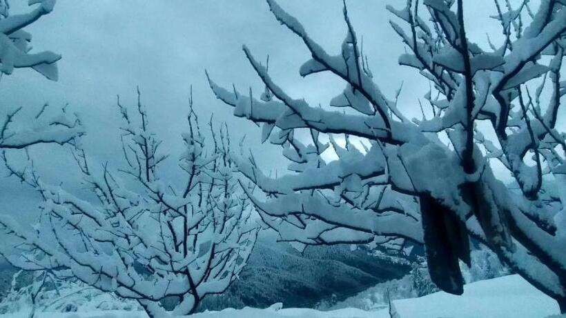 مبيت وإفطار Jomotel Talai