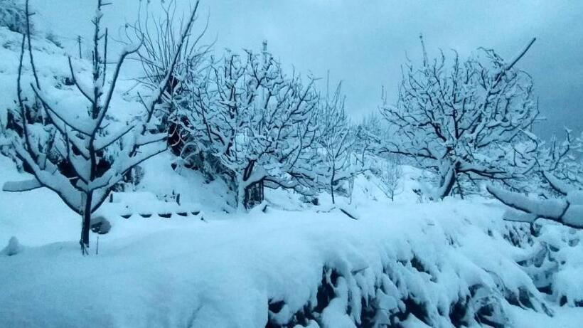 مبيت وإفطار Jomotel Talai