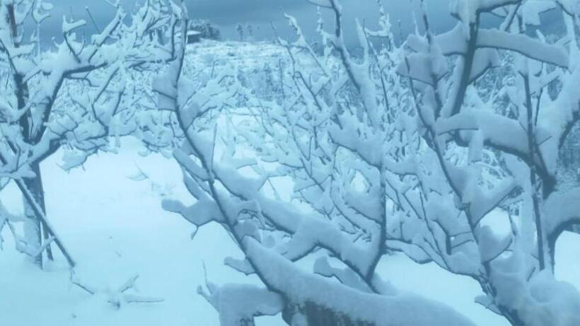 مبيت وإفطار Jomotel Talai