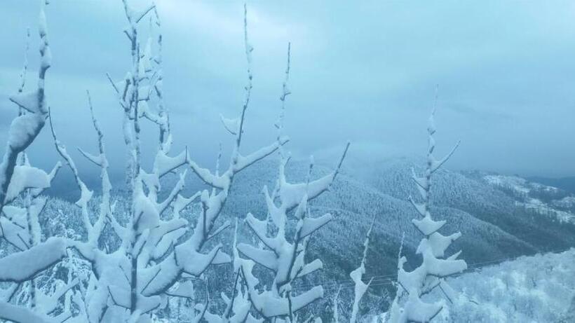 مبيت وإفطار Jomotel Talai