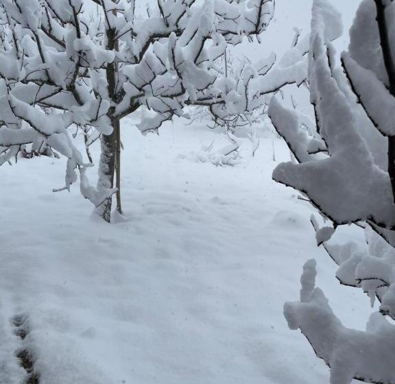 مبيت وإفطار Jomotel Talai