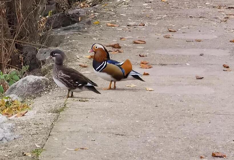 مبيت وإفطار Les Pingouins De La Marne