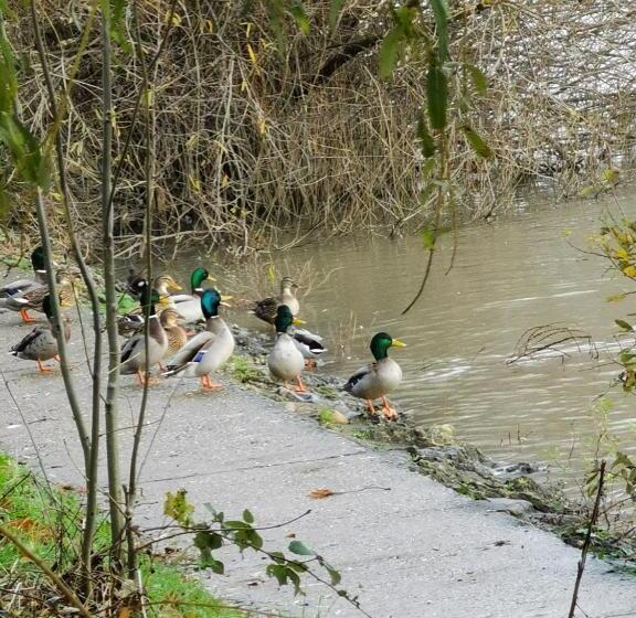 مبيت وإفطار Les Pingouins De La Marne
