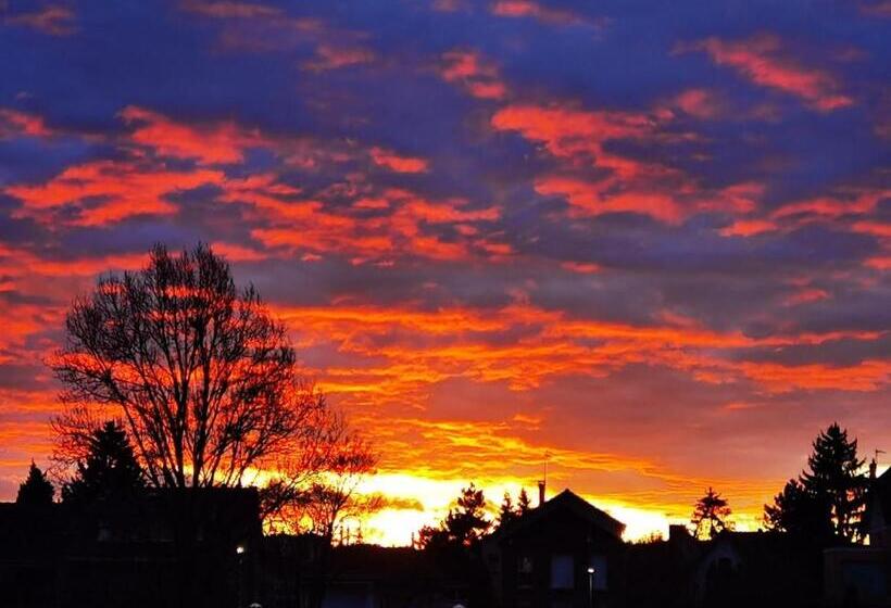 مبيت وإفطار Les Pingouins De La Marne