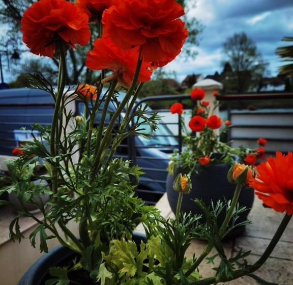 مبيت وإفطار Les Pingouins De La Marne