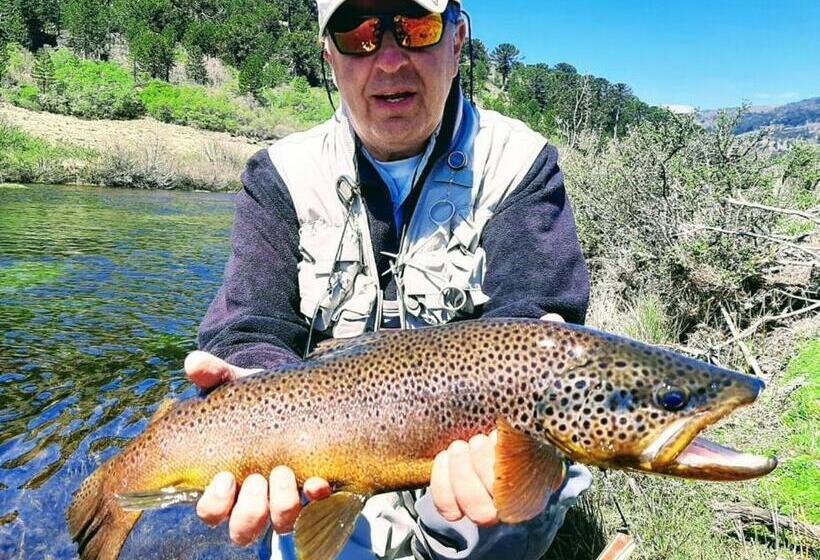 호텔 Estancia Quillen Lodge Hosteria