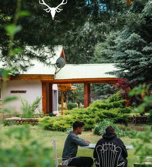 호텔 Estancia Quillen Lodge Hosteria