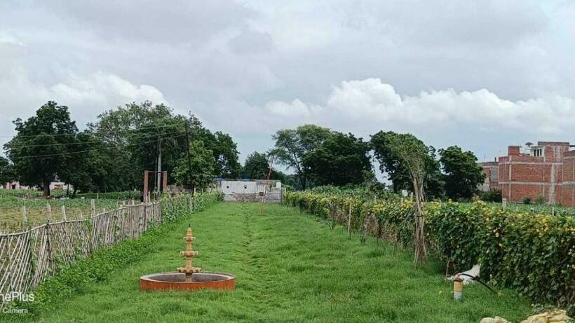 هتل Pop 84706  J S R Palace Gardens