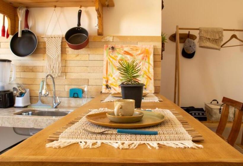 Maravista Kite Preá