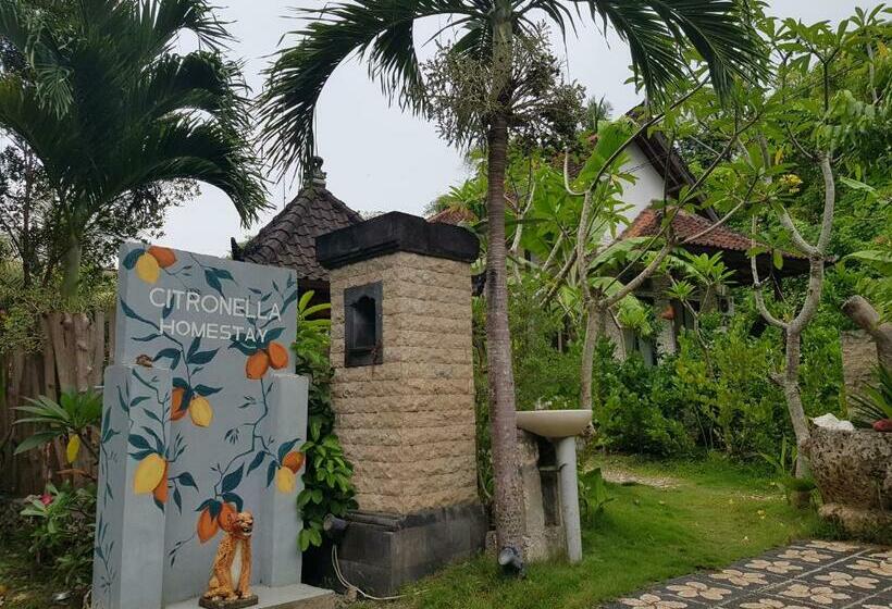 Пансион Citronella Home Stay