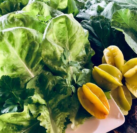 Пансион Estância Peti