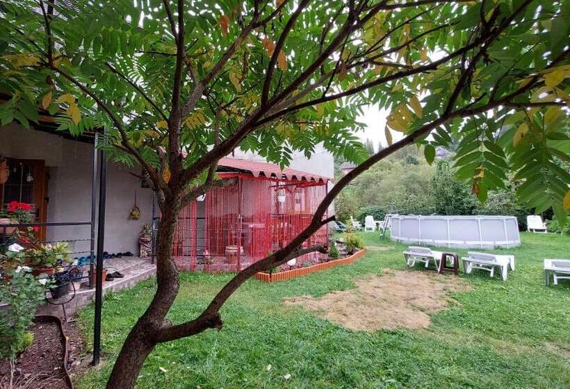 پانسیون Koteg Lemberg