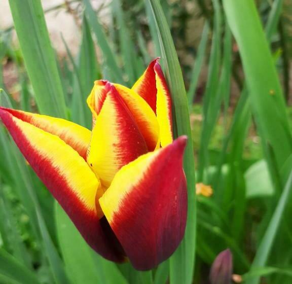 פנסיון Le Clos D Herblay Chambres D Hôtes