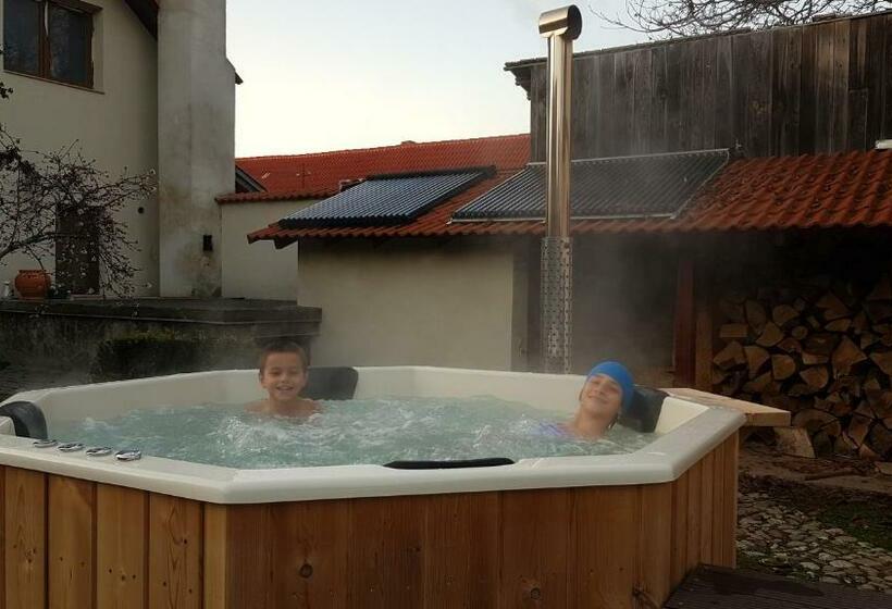 펜션 Otto S Guesthouse