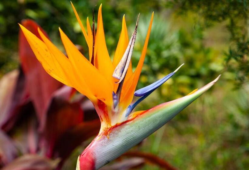 ペンション Pousada Soul Green