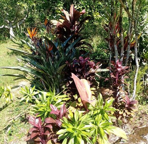 ペンション Pousada Soul Green