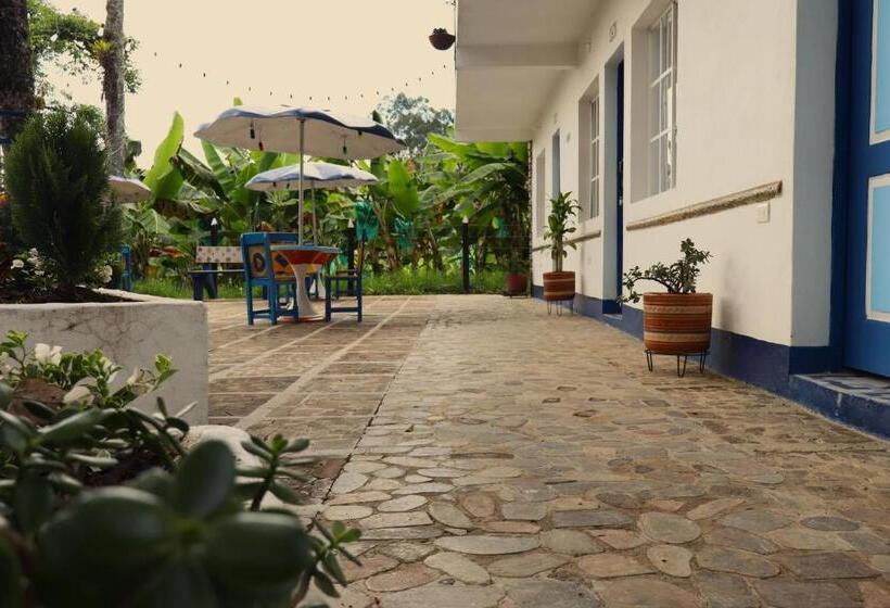 פנסיון Vista Farallones